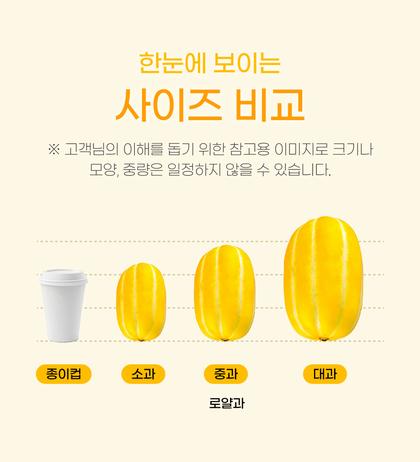 10_비교_01.jpg
