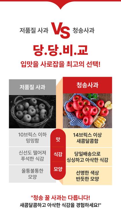 10_비교_08.jpg