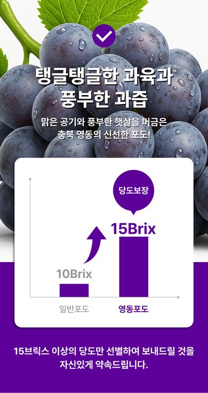 10_비교_09.jpg