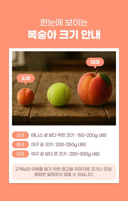 10_비교_11.jpg