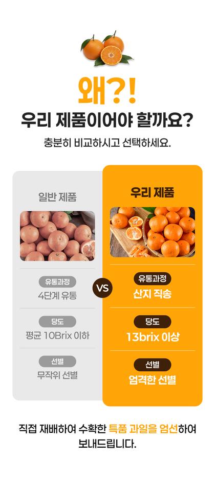 10_비교_16.jpg
