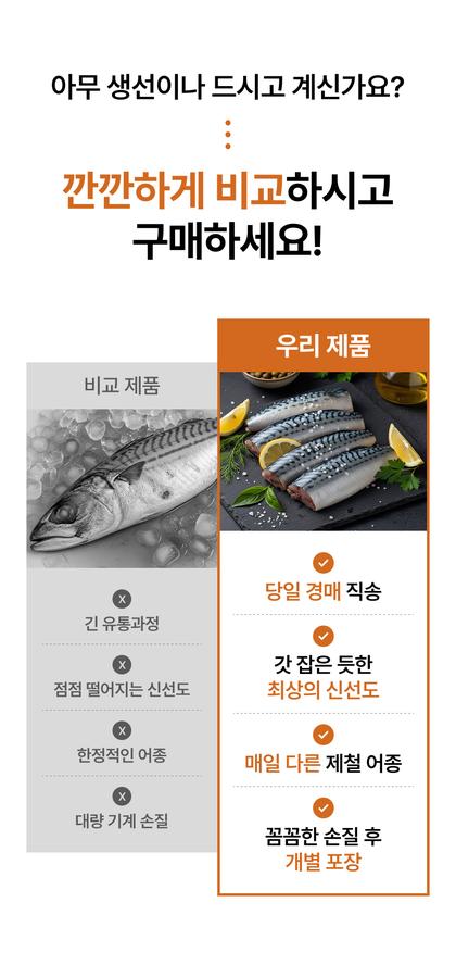10_비교_18.jpg