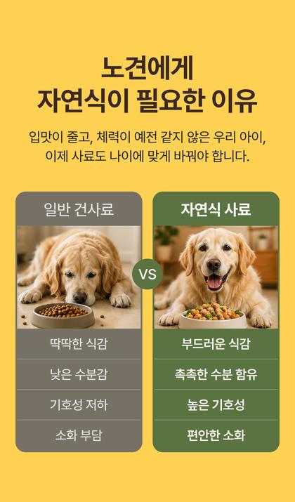 10_비교_32.jpg