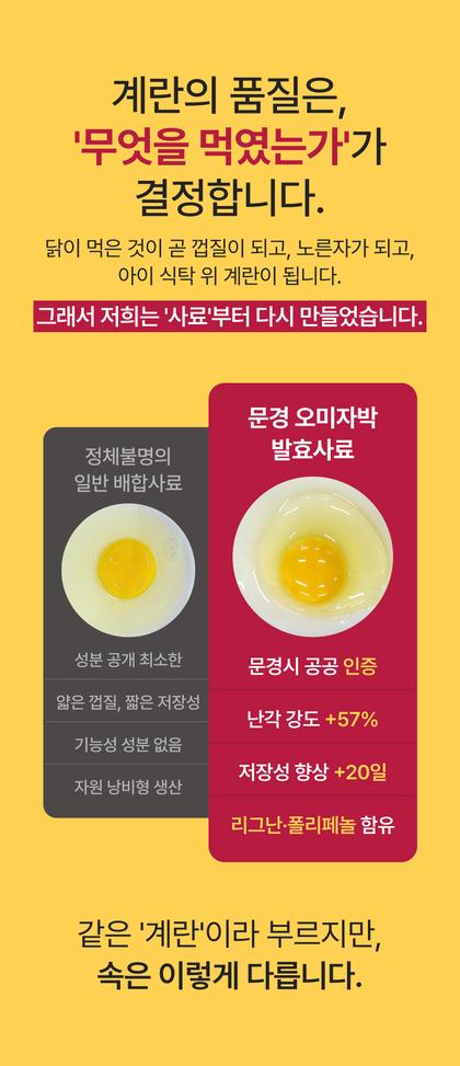 10_비교_38.jpg
