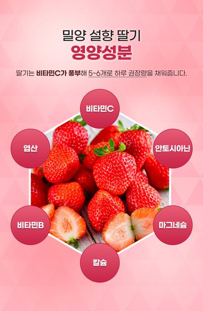 13_성분소개_03.jpg