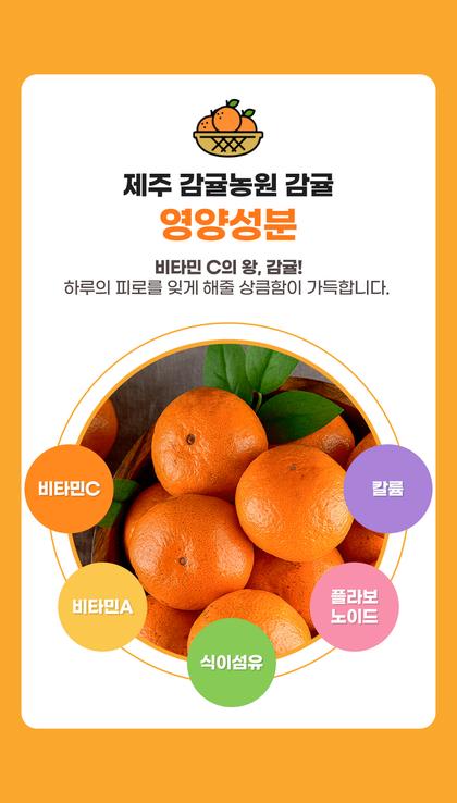13_성분소개_04.jpg
