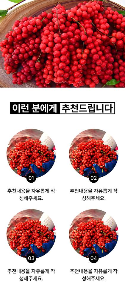 14_추천_06.jpg