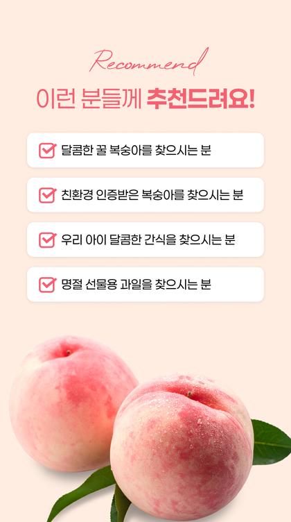 14_추천_14.jpg