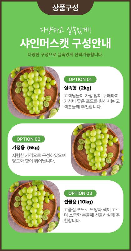 16_상품옵션_17.jpg