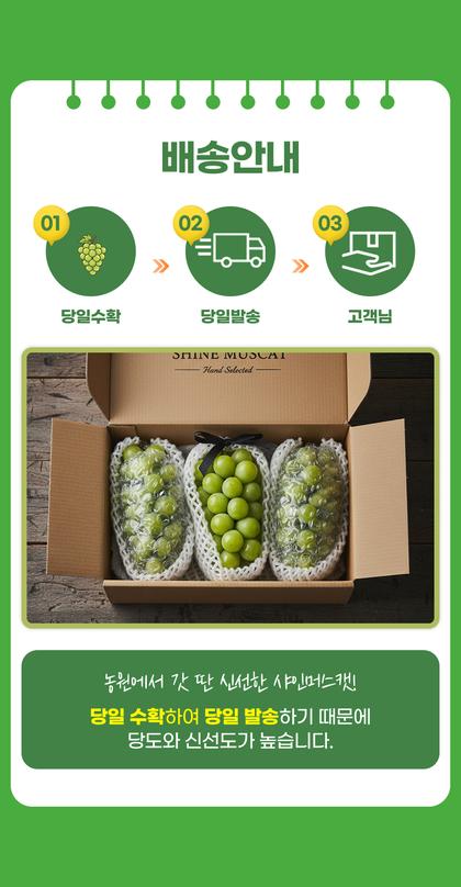 20_포장안내_12.jpg