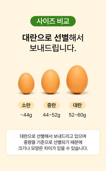 21_제품스펙정보_25.jpg